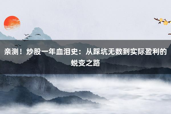 亲测！炒股一年血泪史：从踩坑无数到实际盈利的蜕变之路