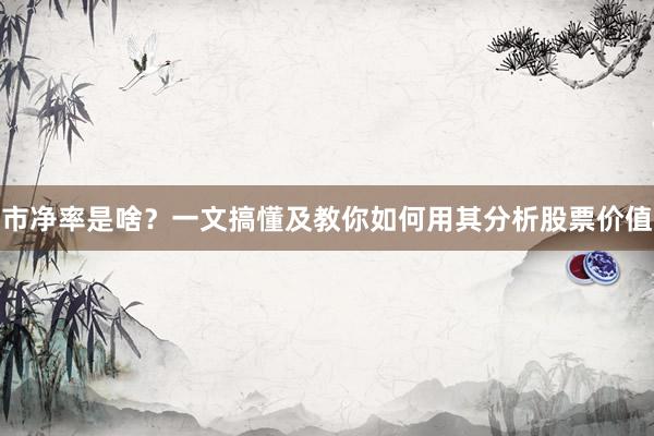市净率是啥？一文搞懂及教你如何用其分析股票价值