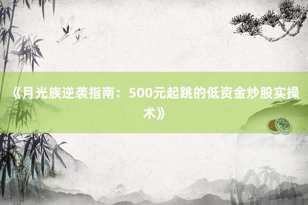 《月光族逆袭指南：500元起跳的低资金炒股实操术》