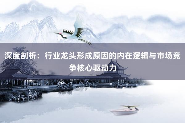 深度剖析：行业龙头形成原因的内在逻辑与市场竞争核心驱动力