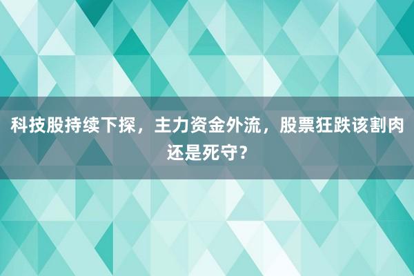 科技股持续下探，主力资金外流，股票狂跌该割肉还是死守？