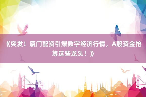 《突发！厦门配资引爆数字经济行情，A股资金抢筹这些龙头！》