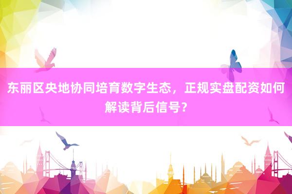 东丽区央地协同培育数字生态，正规实盘配资如何解读背后信号？