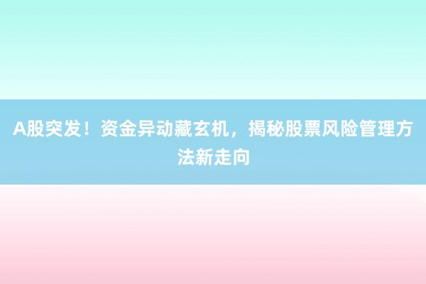 A股突发！资金异动藏玄机，揭秘股票风险管理方法新走向