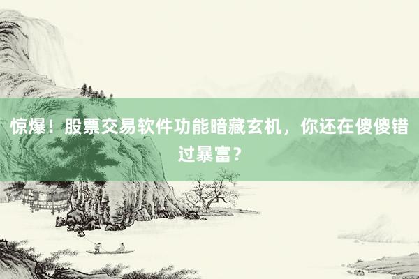惊爆!股票交易软件功能暗藏玄机,你还在傻傻错过暴富?