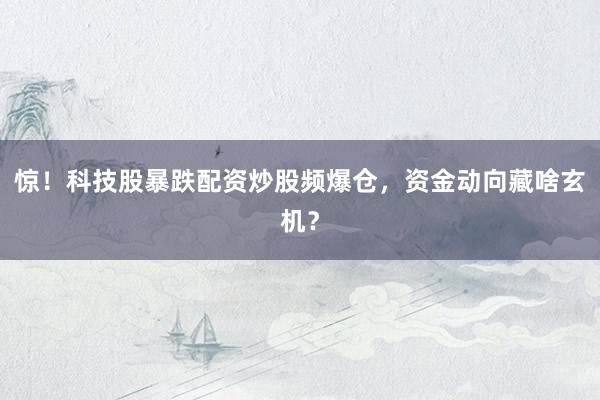 惊！科技股暴跌配资炒股频爆仓，资金动向藏啥玄机？