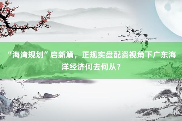 “海湾规划”启新篇,正规实盘配资视角下广东海洋经济何去何从?
