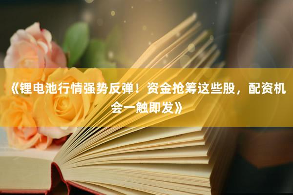 《锂电池行情强势反弹！资金抢筹这些股，配资机会一触即发》