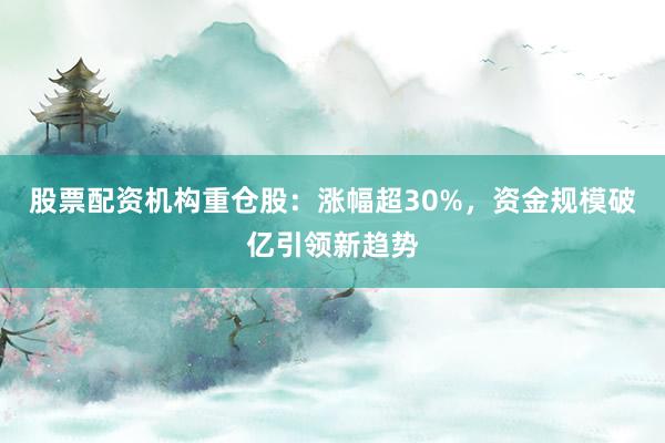 股票配资机构重仓股：涨幅超30%，资金规模破亿引领新趋势