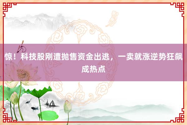 惊！科技股刚遭抛售资金出逃，一卖就涨逆势狂飙成热点